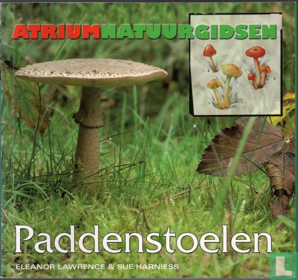 Paddenstoelen 