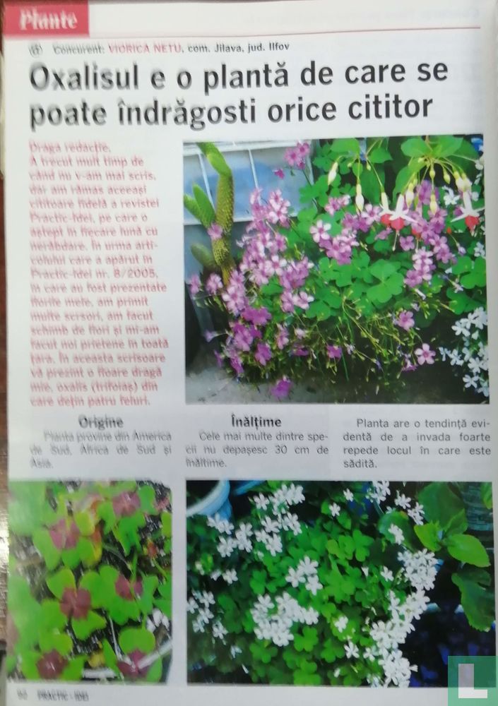 Practic Idei pentru casă 8 113