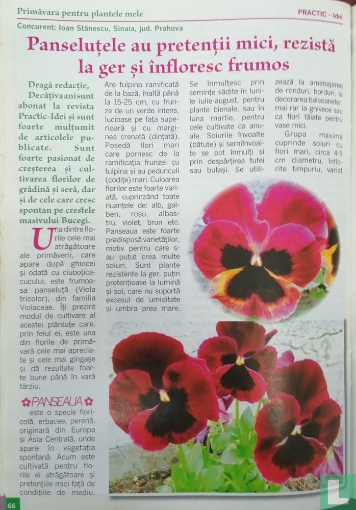 Practic Idei pentru casă 3 108