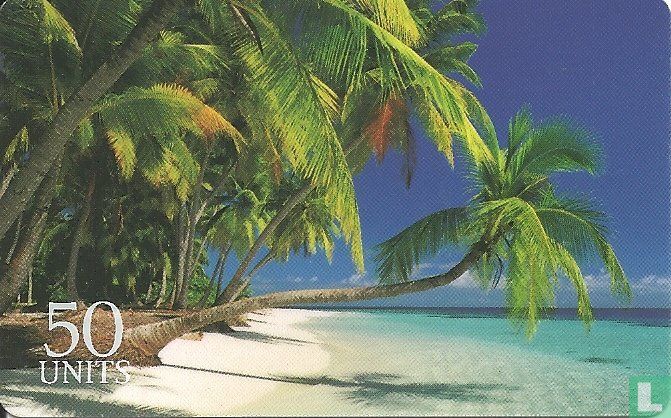 Tropical Beach