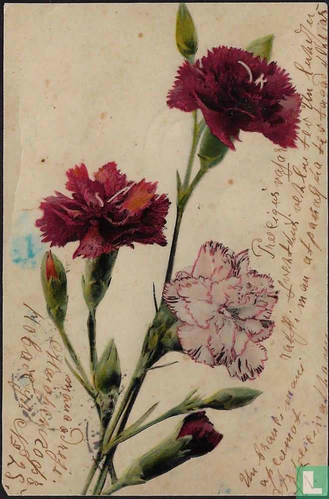 Bloemen