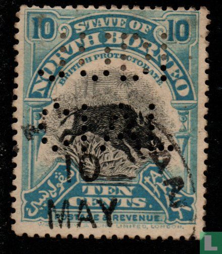 Phacochère javanais