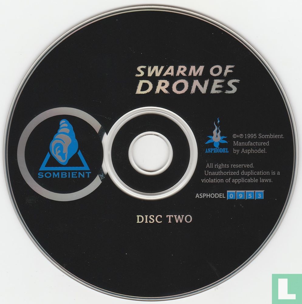 Swarm of Drones