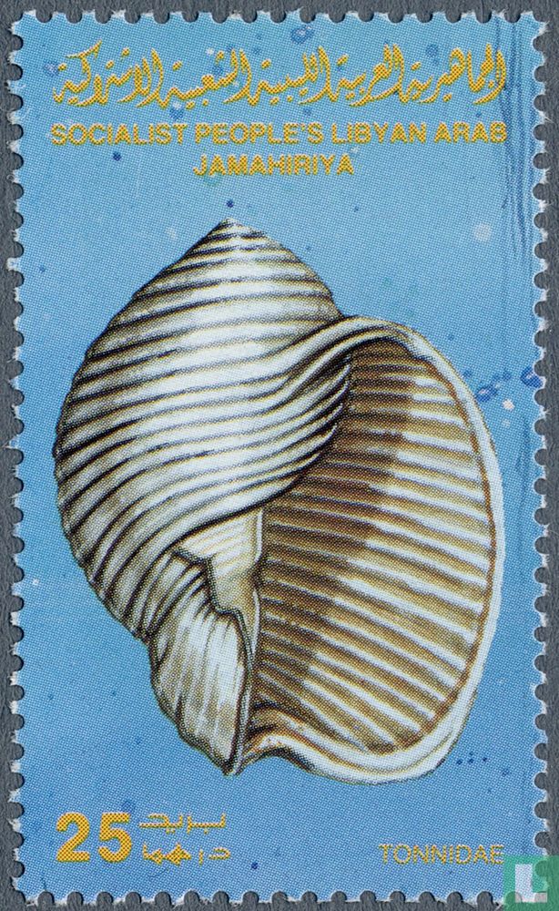 Mollusc shell