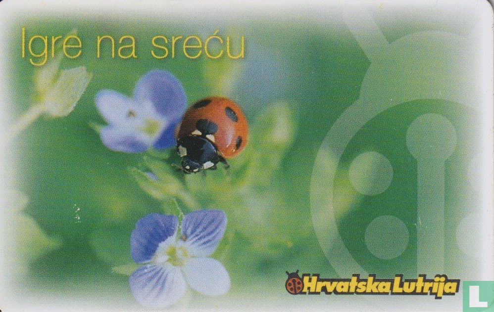 Šport