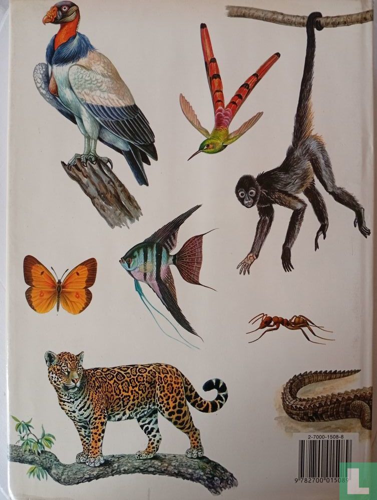 Faune d'Amerique