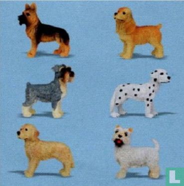 Chien