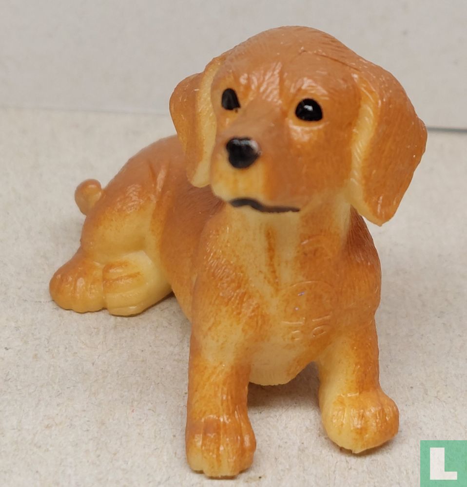 Chien