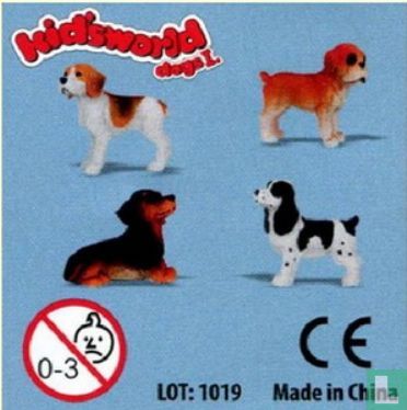 Chien