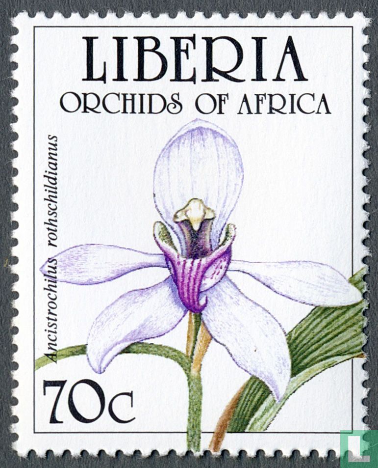 Orchidées