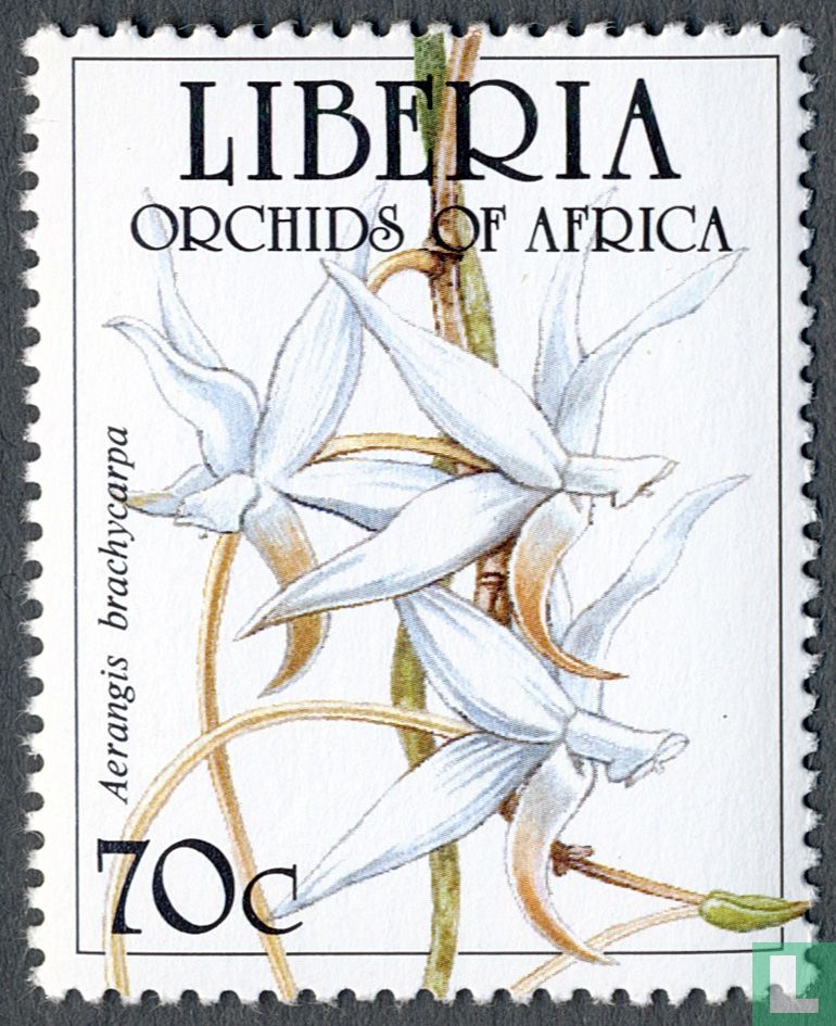 Orchids