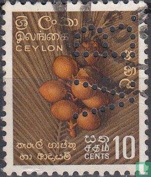 Coconuts