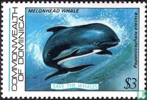 Whales 