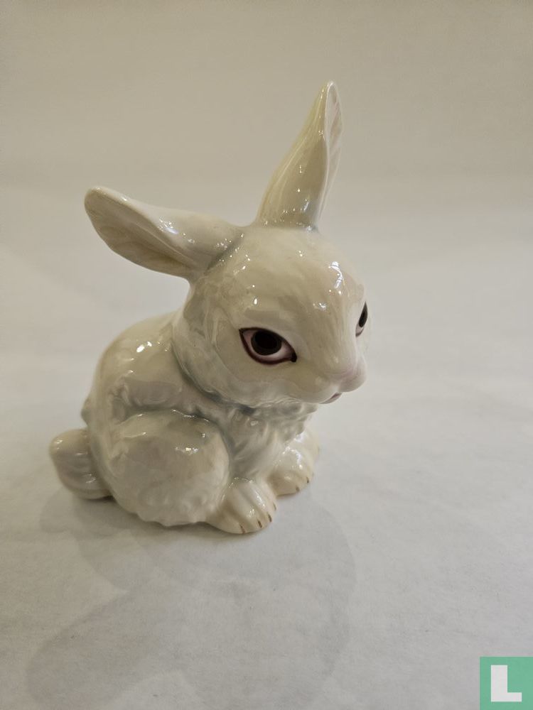 Rabbit