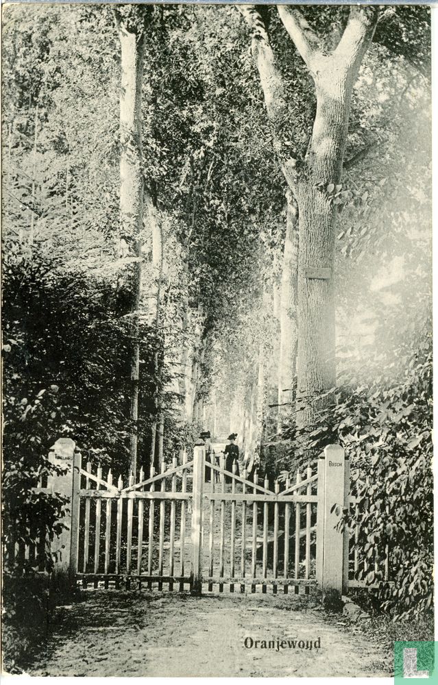 Oranjewoud