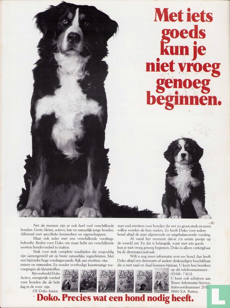 Onze hond 1