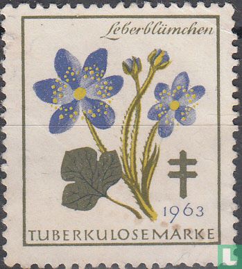 Tuberculosebestrijding
