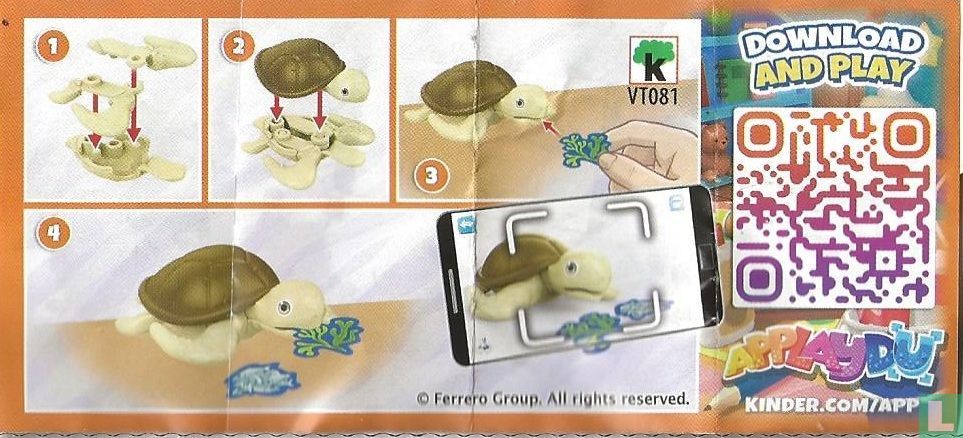 Turtle