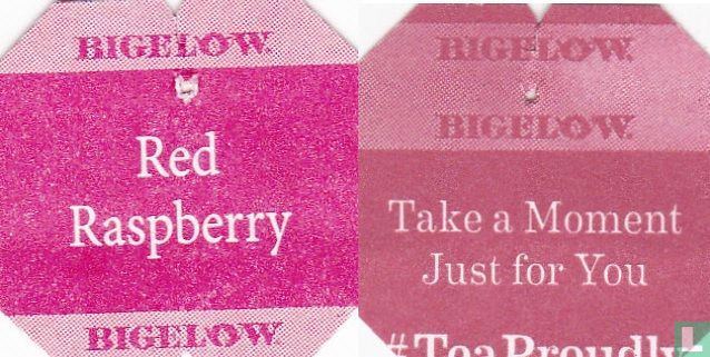 Red Raspberry 190091n2E4 1142 (2024) - Bigelow [r] - LastDodo