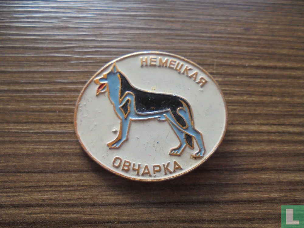 CCCP hond