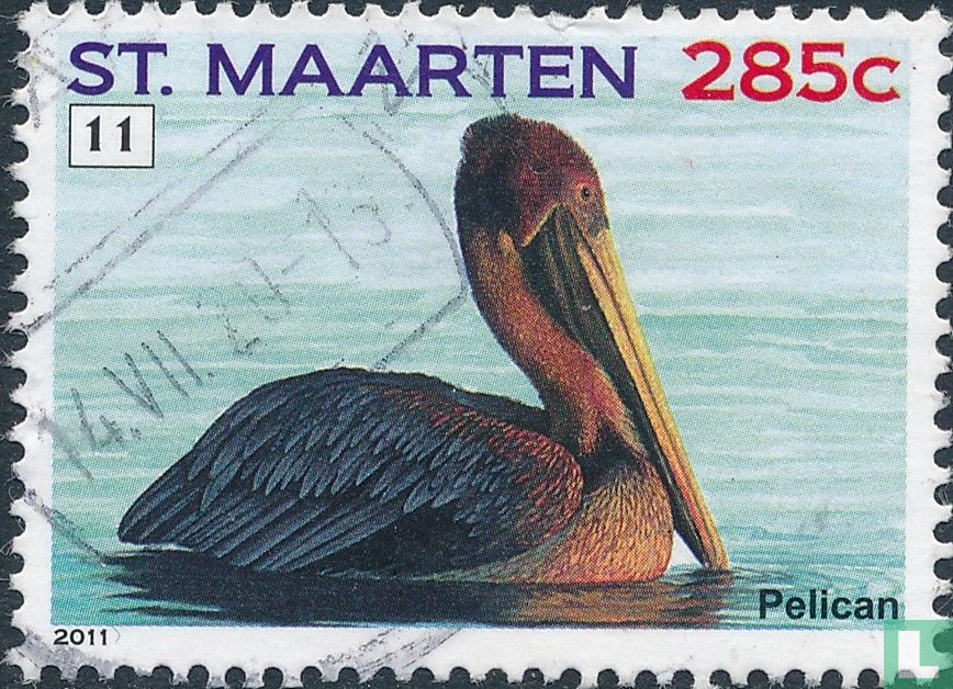 pélican