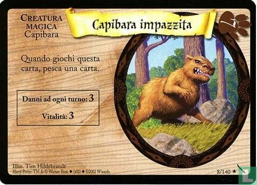 Capibara impazzita