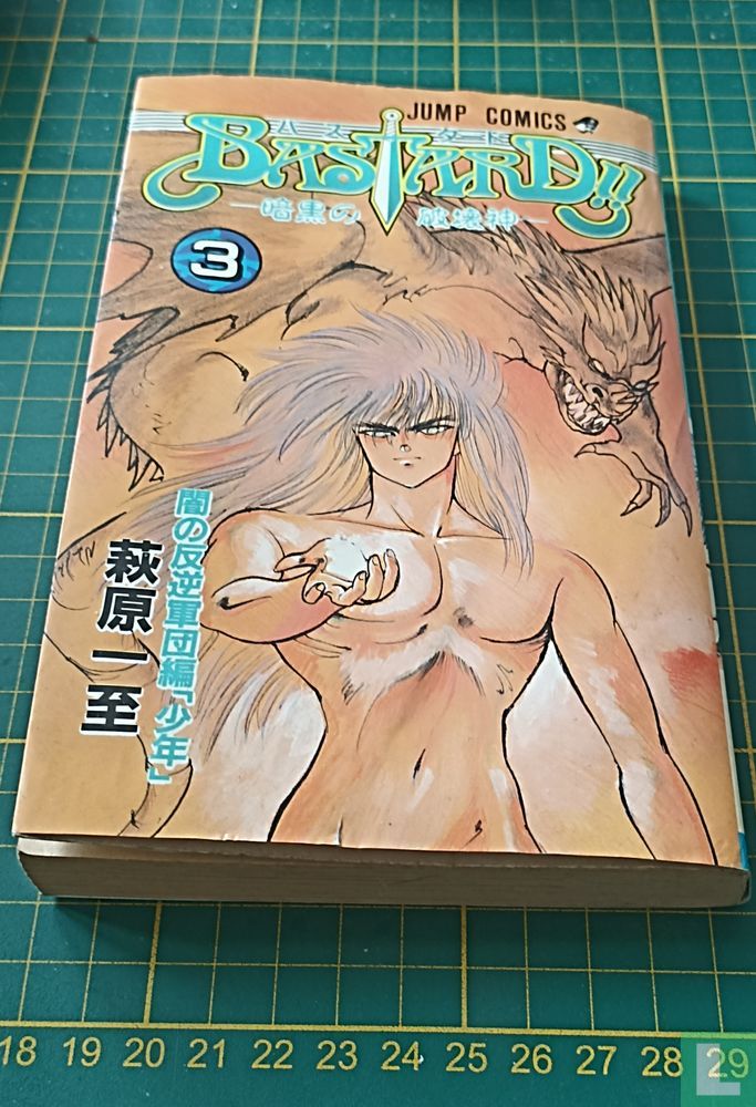 Bastard!! Vol.3