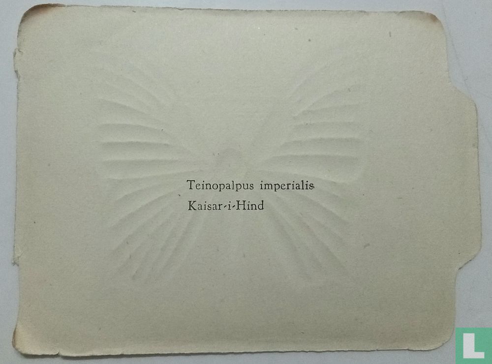Teinopalpus imperialis