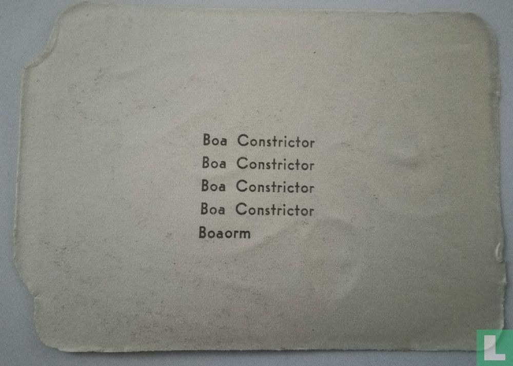 Boa Constrictor  