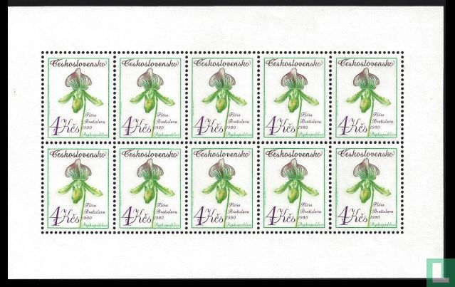 Bloemen
