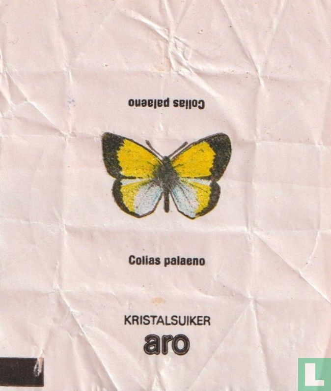 Colias palaeno