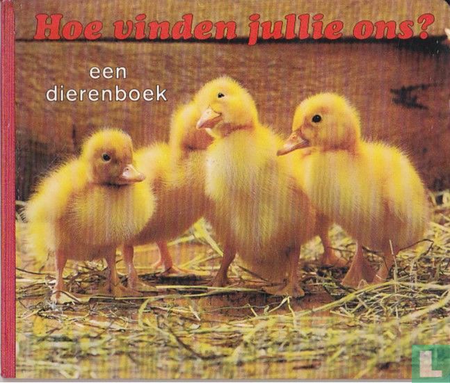 Hoe vinden jullie ons?