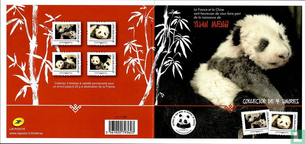 Panda géant