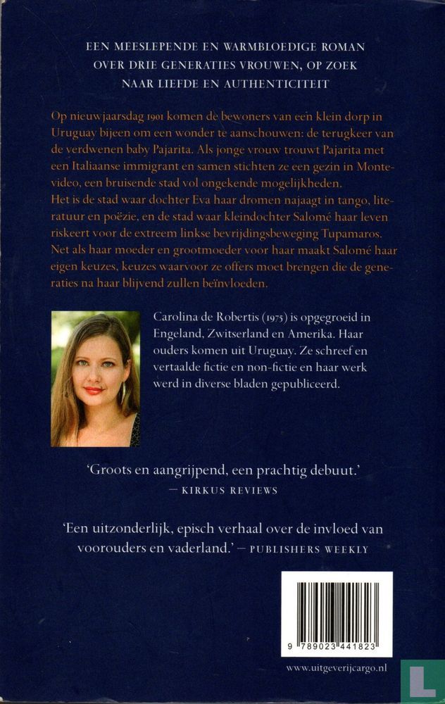 De onzichtbare berg