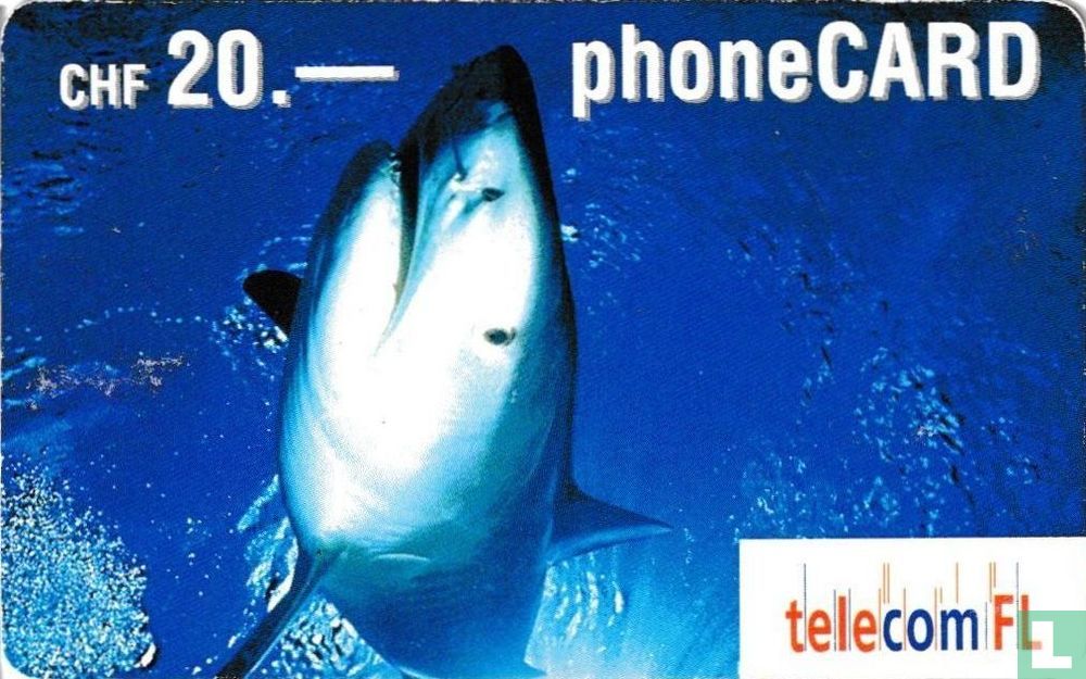 Haie - Shark