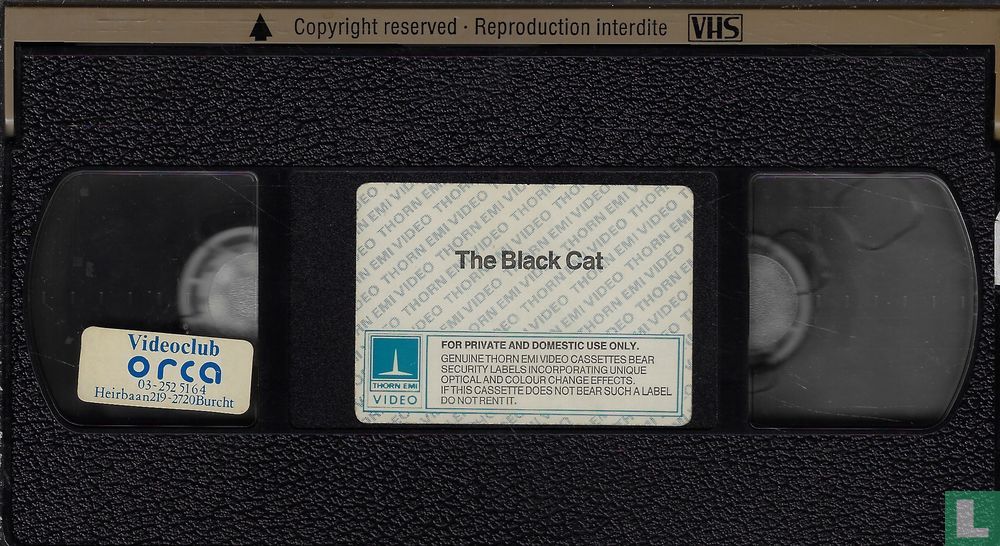 The Black Cat