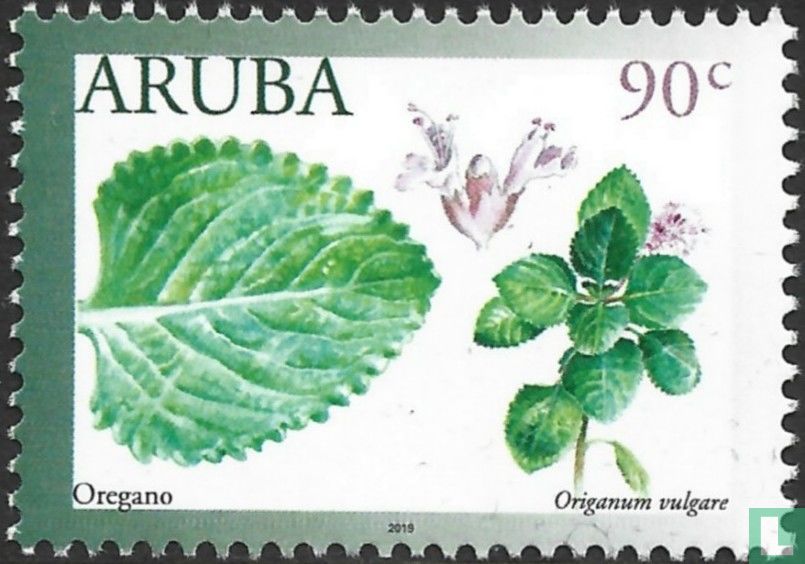Plantes médicinales