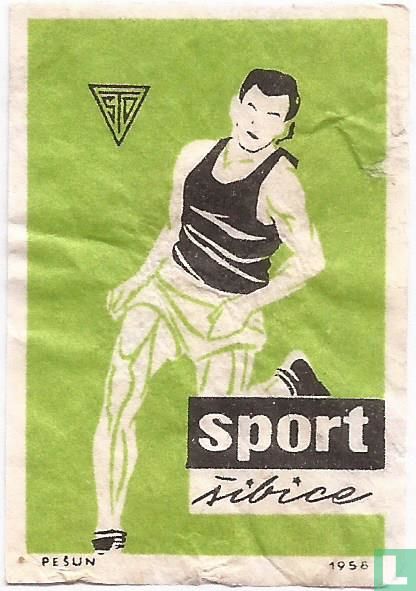 "hardlopen"