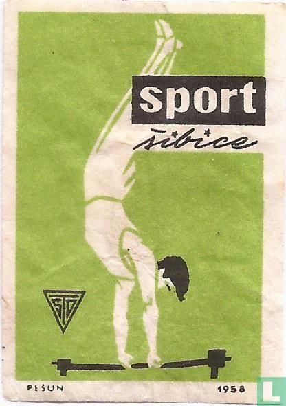"turnen"