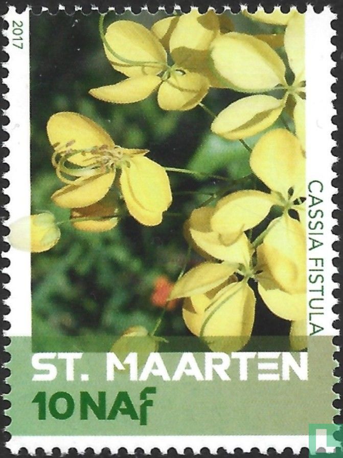 Blumen