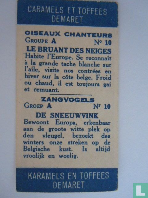 De sneeuwvink