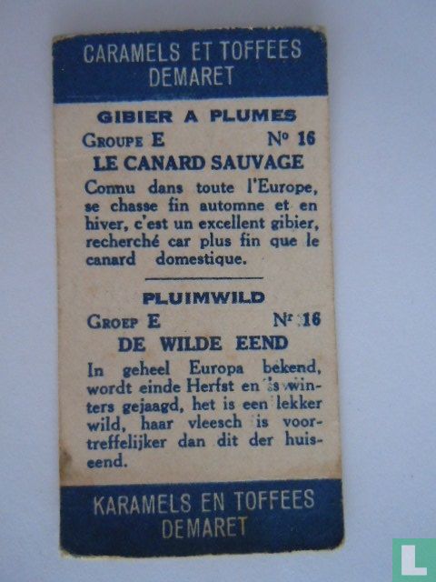 De wilde eend