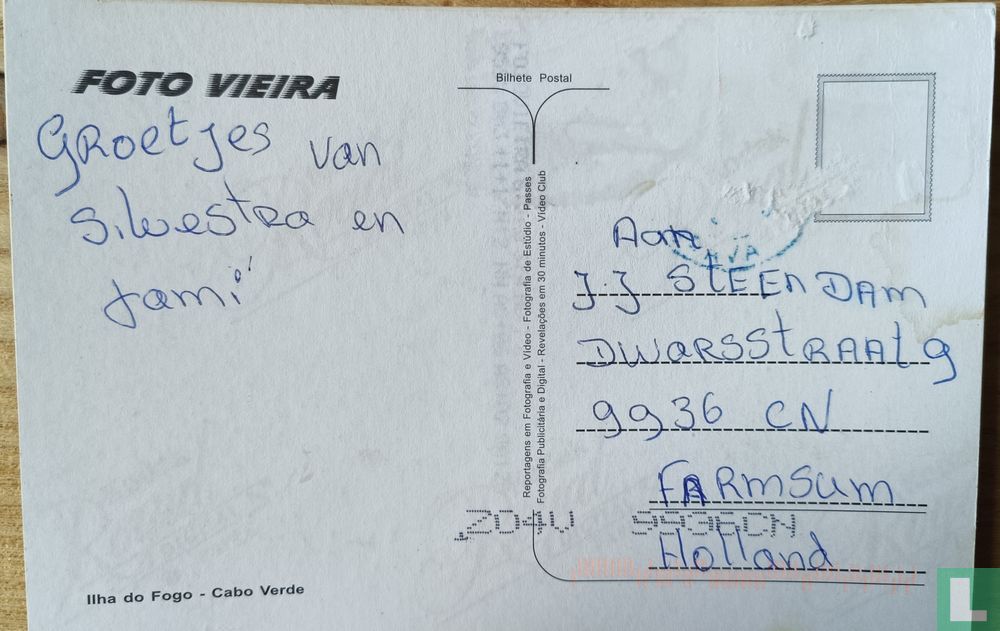 Fogo 2008