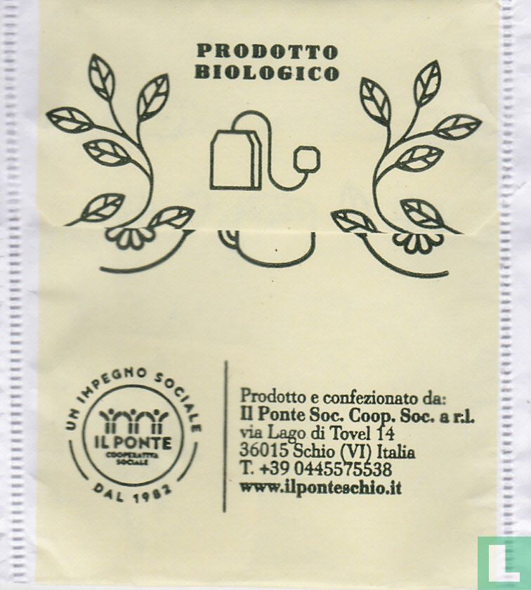 Olivo