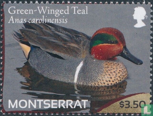 Ducks