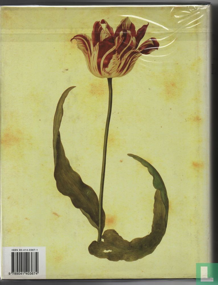 De tulp