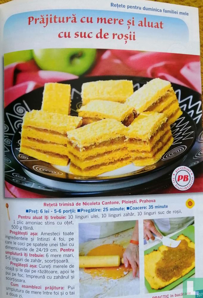 Practic în bucătărie 97