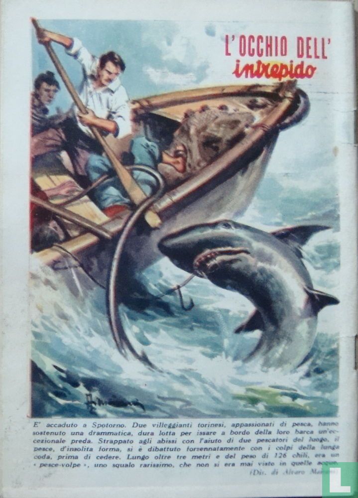 Intrepido 32