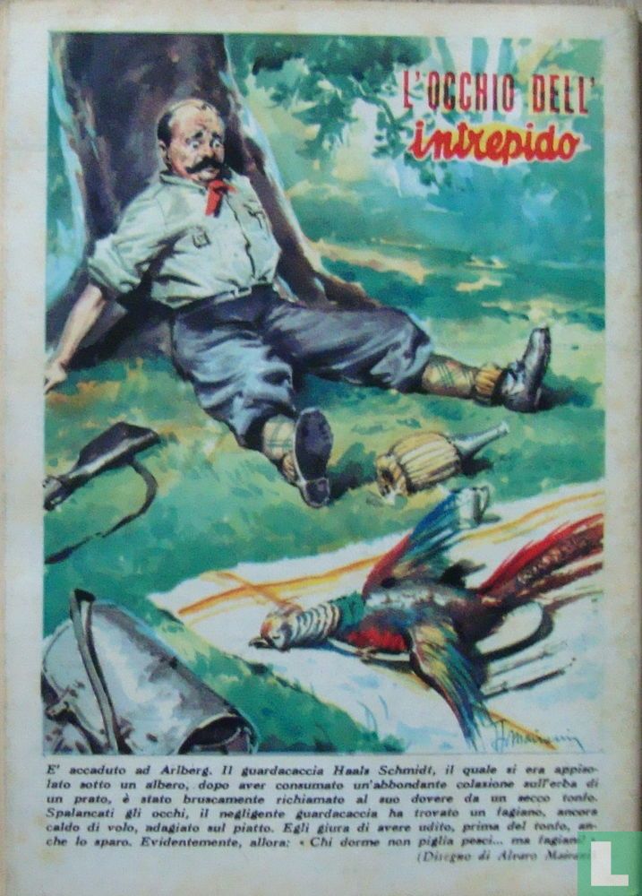 Intrepido 36