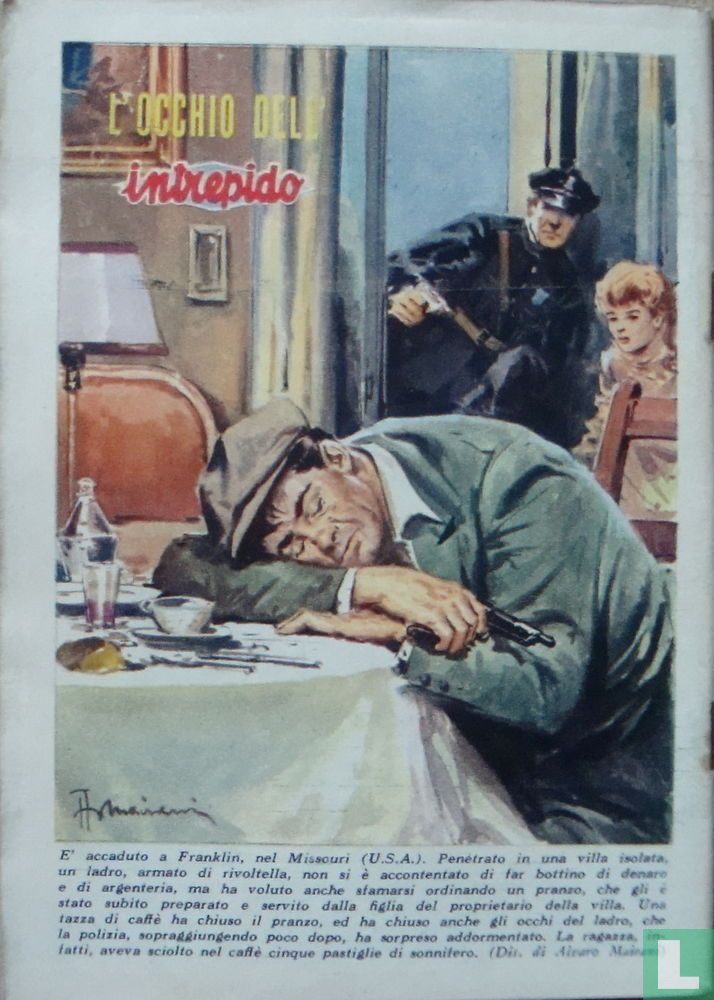 Intrepido 31